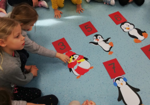 Pierwszy pingwin nakarmiony